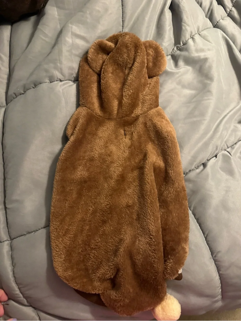 Dog costume - bear - size large